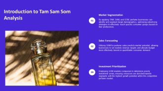 Tam Sam Som Analysis Of The Perfume Business PPT Designs AT Analytical Unique
