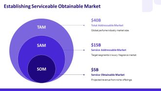Tam Sam Som Analysis Of The Perfume Business PPT Designs AT Aesthatic Unique