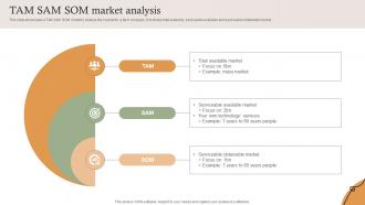 TAM SAM SOM Market Analysis Farm Services Marketing Strategy SS V
