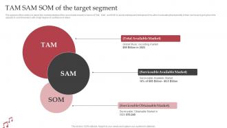 Tam Sam Som Of The Target Segment Sample Interscope Records Business Plan BP SS