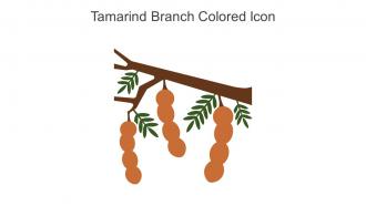 Tamarind Branch Colored Icon In Powerpoint Pptx Png And Editable Eps Format