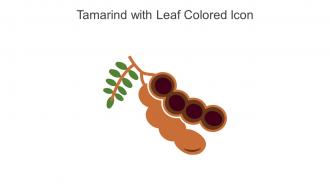 Tamarind With Leaf Colored Icon In Powerpoint Pptx Png And Editable Eps Format