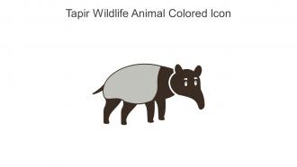 Tapir Wildlife Animal Colored Icon In Powerpoint Pptx Png And Editable Eps Format