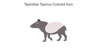 Tapiridae Tapirus Colored Icon In Powerpoint Pptx Png And Editable Eps Format