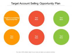Target account selling opportunity plan ppt powerpoint presentation diagrams cpb