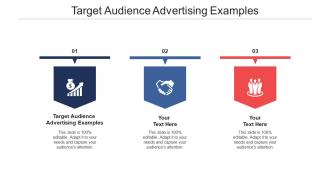Target audience advertising examples ppt powerpoint presentation layouts diagrams cpb