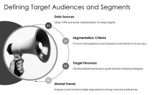 Target Audience Analysis And Customer Segmentation PPT Graphics AT Attractive Pre-designed