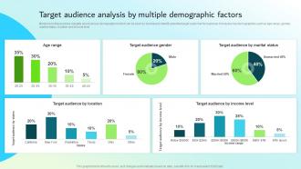 Target Audience Analysis By Multiple Demographic Factors Strategic Guide For Integrated Marketing