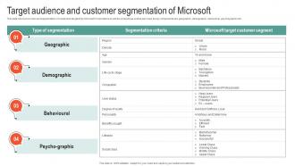 Target Audience And Customer Segmentation Microsoft Business Strategy To Stay Ahead Strategy SS V