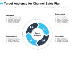 Target audience for channel sales plan ethnicity ppt powerpoint presentation file summary