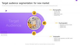 Target Audience Segmentation For New Market Entry Strategy For International Expansion