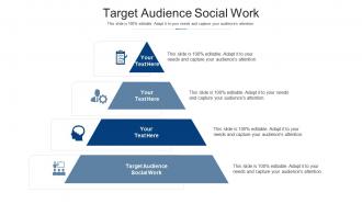 Target audience social work ppt powerpoint presentation ideas styles cpb