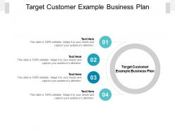 Target customer example business plan ppt powerpoint presentation diagrams cpb