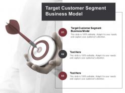 Target customer segment business model ppt powerpoint presentation portfolio rules cpb