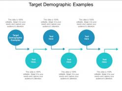 Target demographic examples ppt powerpoint presentation icon slides cpb