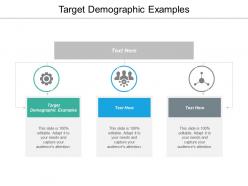 Target demographic examples ppt powerpoint presentation ideas example file cpb