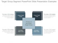 Target group segment powerpoint slide presentation examples