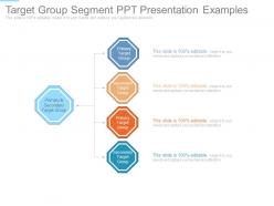 Target group segment ppt presentation examples