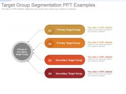Target group segmentation ppt examples