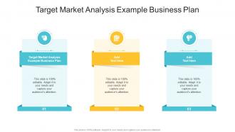 Target Market Analysis Example Business Plan In Powerpoint And Google Slides Cpb