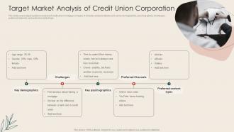 Target Market Analysis Of Credit Union Corporation