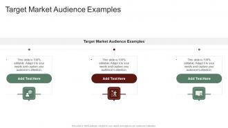 Target Market Audience Examples In Powerpoint And Google Slides Cpb