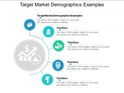 Target market demographics examples ppt powerpoint presentation icon graphics pictures cpb
