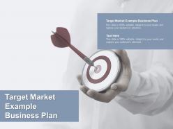 Target market example business plan ppt powerpoint presentation slides cpb
