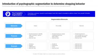 Target Market Grouping Introduction Of Psychographic Segmentation MKT SS V