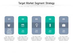 Target market segment strategy ppt powerpoint presentation professional picture cpb