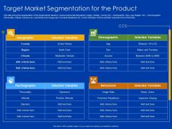 Target Market Segmentation For The Product Moderate Income Ppt Slides