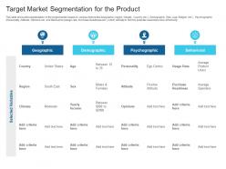 Target Market Segmentation For The Product Raise Debt Capital Commercial Finance Companies Ppt Tips