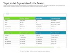 Target market segmentation for the product raise funded debt banking institutions ppt grid