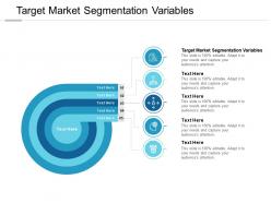 Target market segmentation variables ppt powerpoint presentation icon cpb