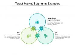 Target market segments examples ppt powerpoint presentation pictures structure cpb