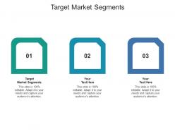 Target market segments ppt powerpoint presentation professional graphic images cpb
