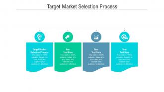 Target market selection process ppt powerpoint presentation inspiration shapes cpb