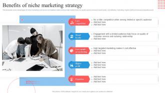 Target Marketing Process Benefits Of Niche Marketing Strategy Ppt Summary Icons