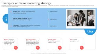 Target Marketing Process Examples Of Micro Marketing Strategy
