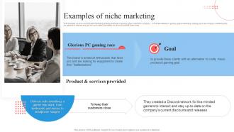 Target Marketing Process Examples Of Niche Marketing Ppt Summary Grid