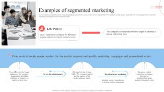 Target Marketing Process Examples Of Segmented Marketing