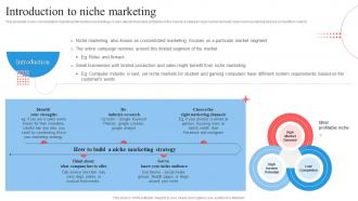 Target Marketing Process Introduction To Niche Marketing Ppt Summary Mockup