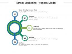Target marketing process model ppt powerpoint presentation infographics cpb