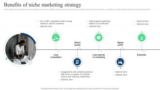 Target Marketing Strategies Benefits Of Niche Marketing Strategy Ppt Slides Graphics Template