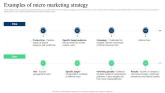 Target Marketing Strategies Examples Of Micro Marketing Strategy Ppt Slides Graphics Example