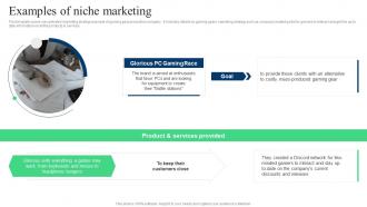 Target Marketing Strategies Examples Of Niche Marketing Ppt Powerpoint Presentation Slides Design