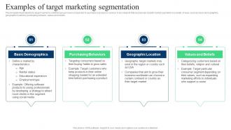Target Marketing Strategies Examples Of Target Marketing Segmentation Ppt Slides Graphics Design