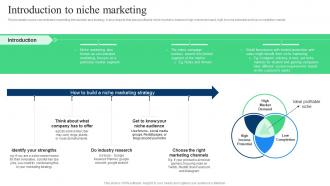 Target Marketing Strategies Introduction To Niche Marketing Ppt Powerpoint Presentation Slides Background