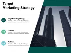 Target marketing strategy ppt powerpoint presentation file show cpb