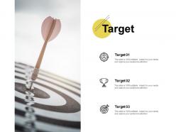 Target portfolio ppt powerpoint presentation pictures example file